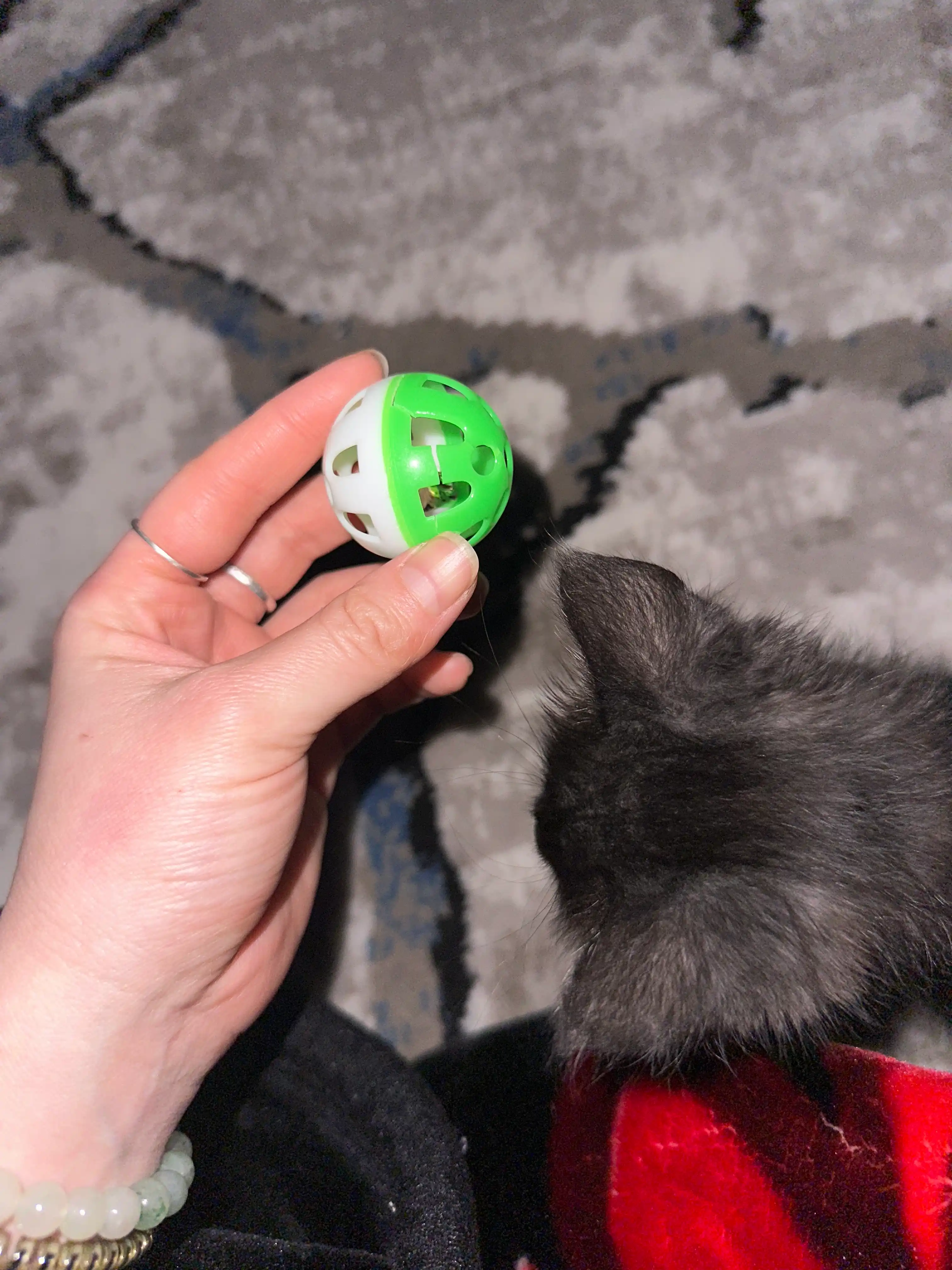 Игрушка шарик с бубенчиком для кошек и котят BobrokGora, 4 см