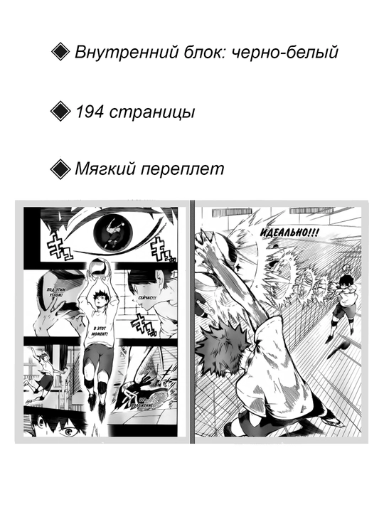 Manga Voleybol, 2 jild
