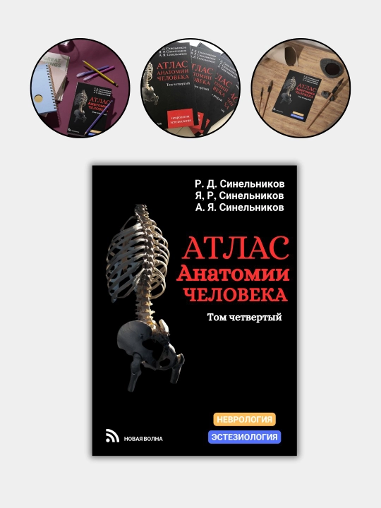 Atlas anatomii cheloveka, 4 ta tom Sinelnikov