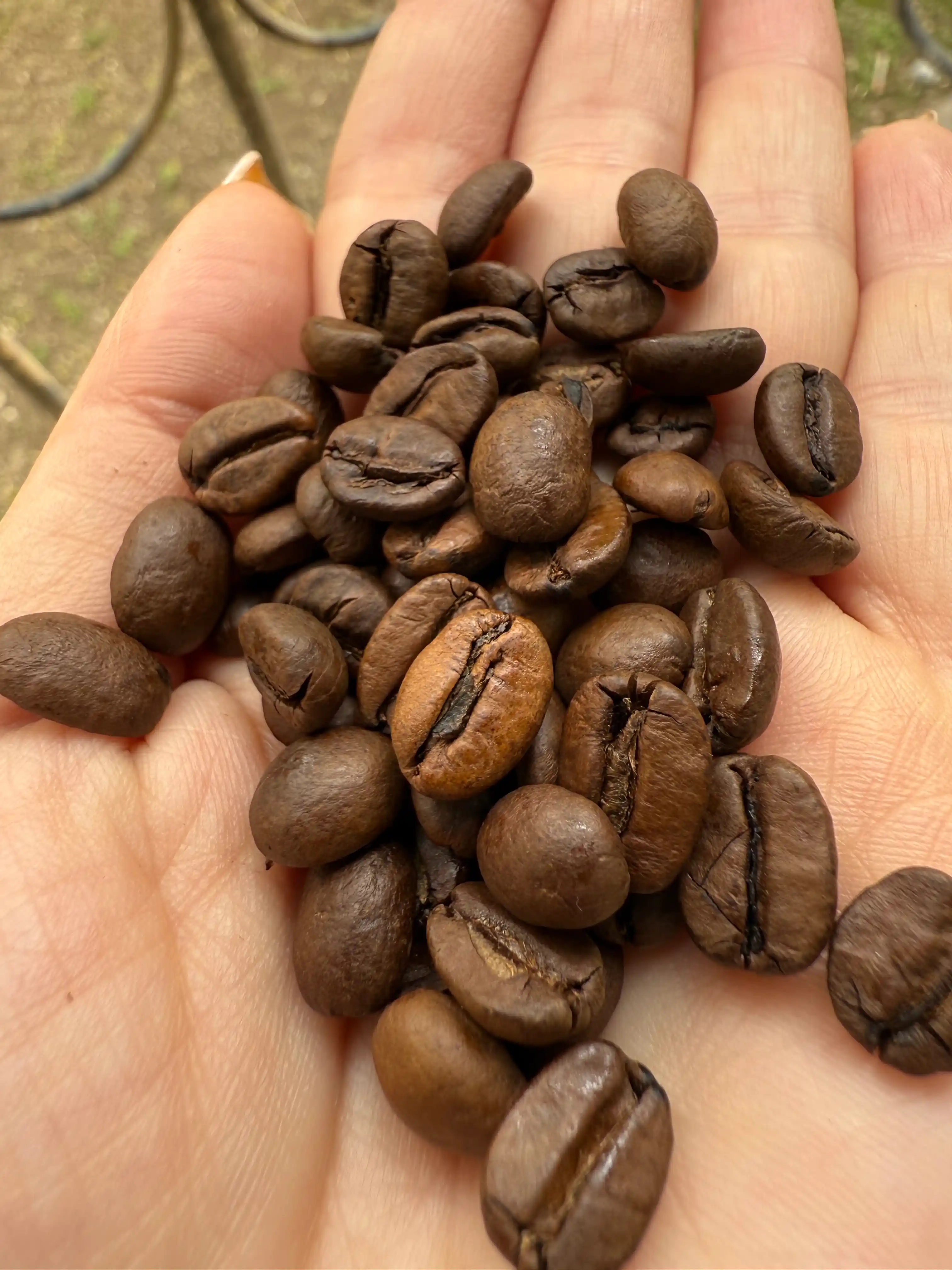 Кофе натуральный  жареный в зернах "Barista Pro Эспрессо", 1000 г