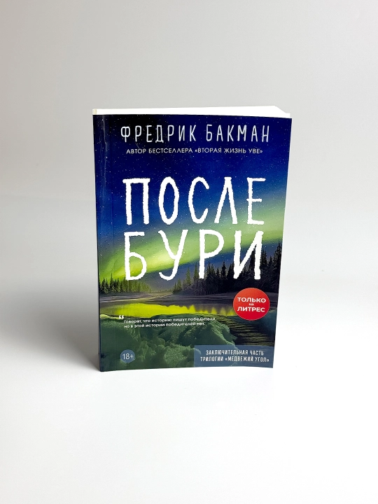 После бури. Фредрик Бакман - 