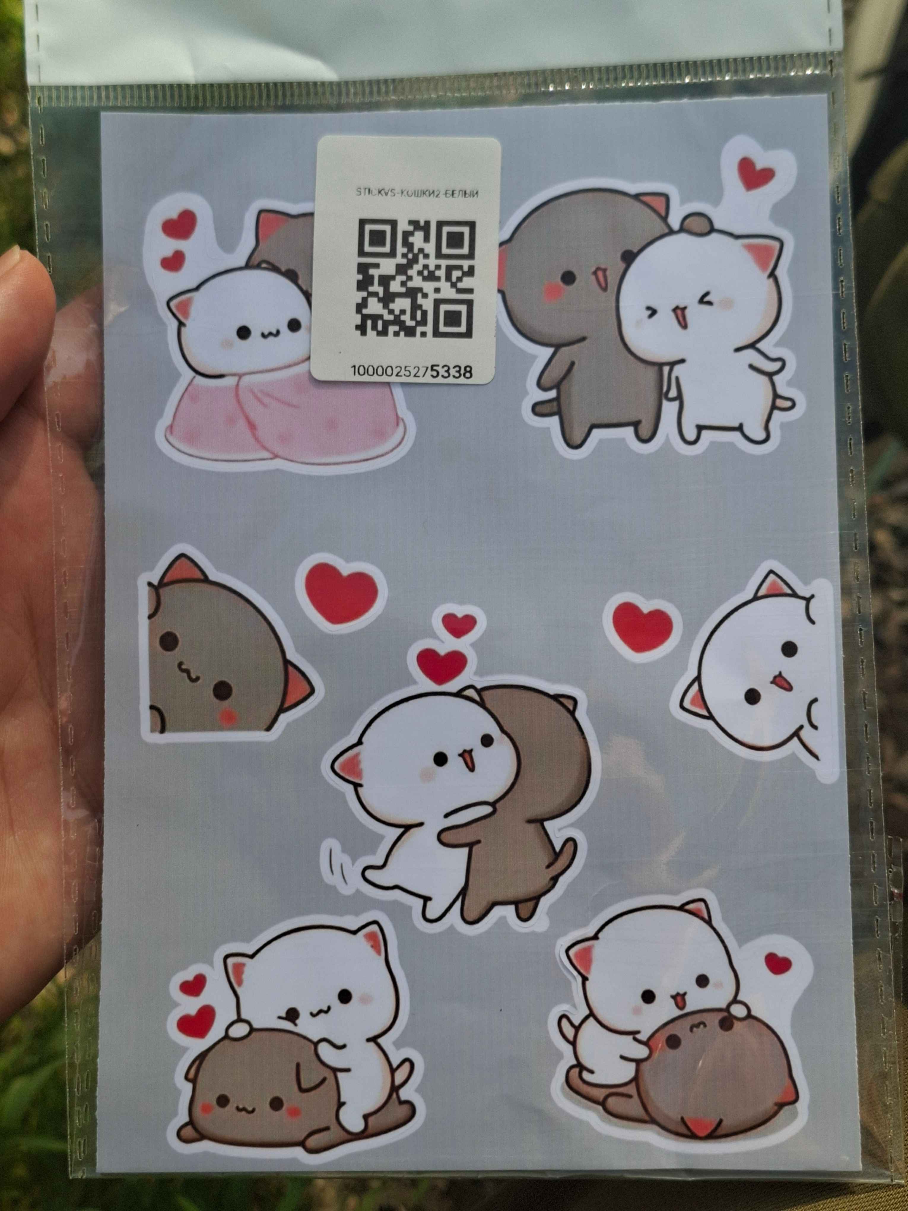 Sizning jinsiy hikoyalaringiz