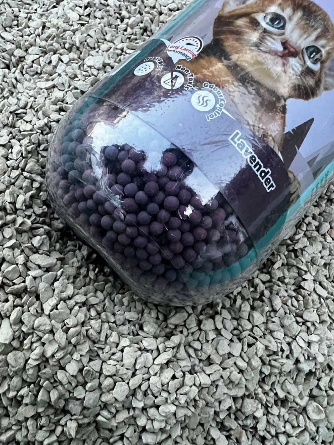 Katta son mushuk fotosurati Katta son mushuk fotosurati