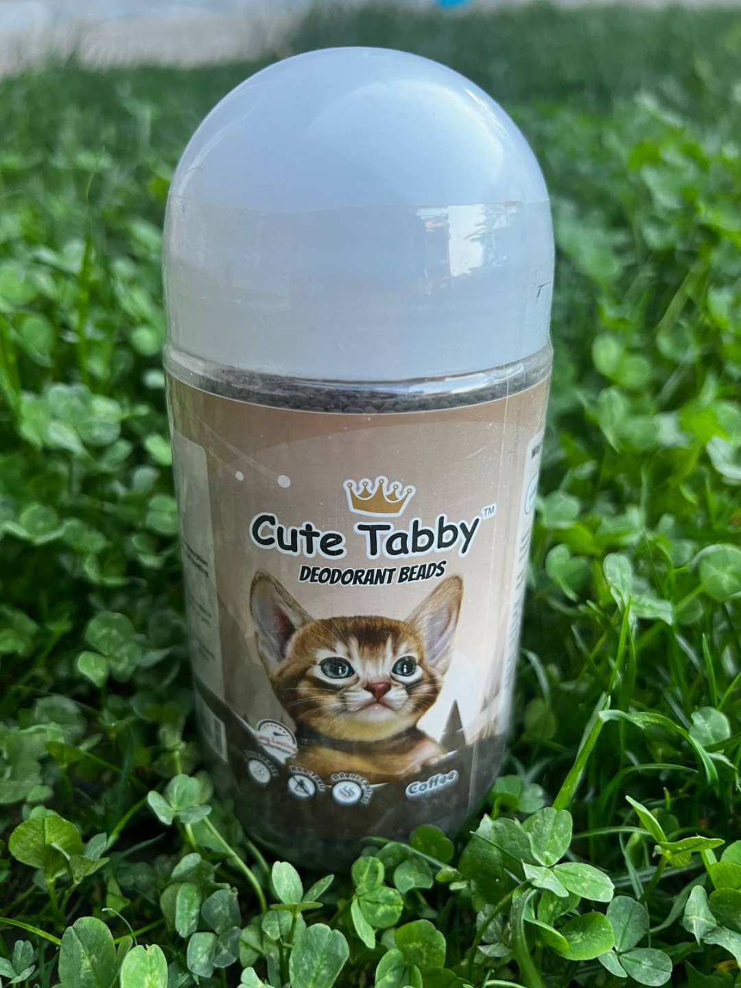 Men Iskandariyada jinsiy aloqa qilishni xohlayman.