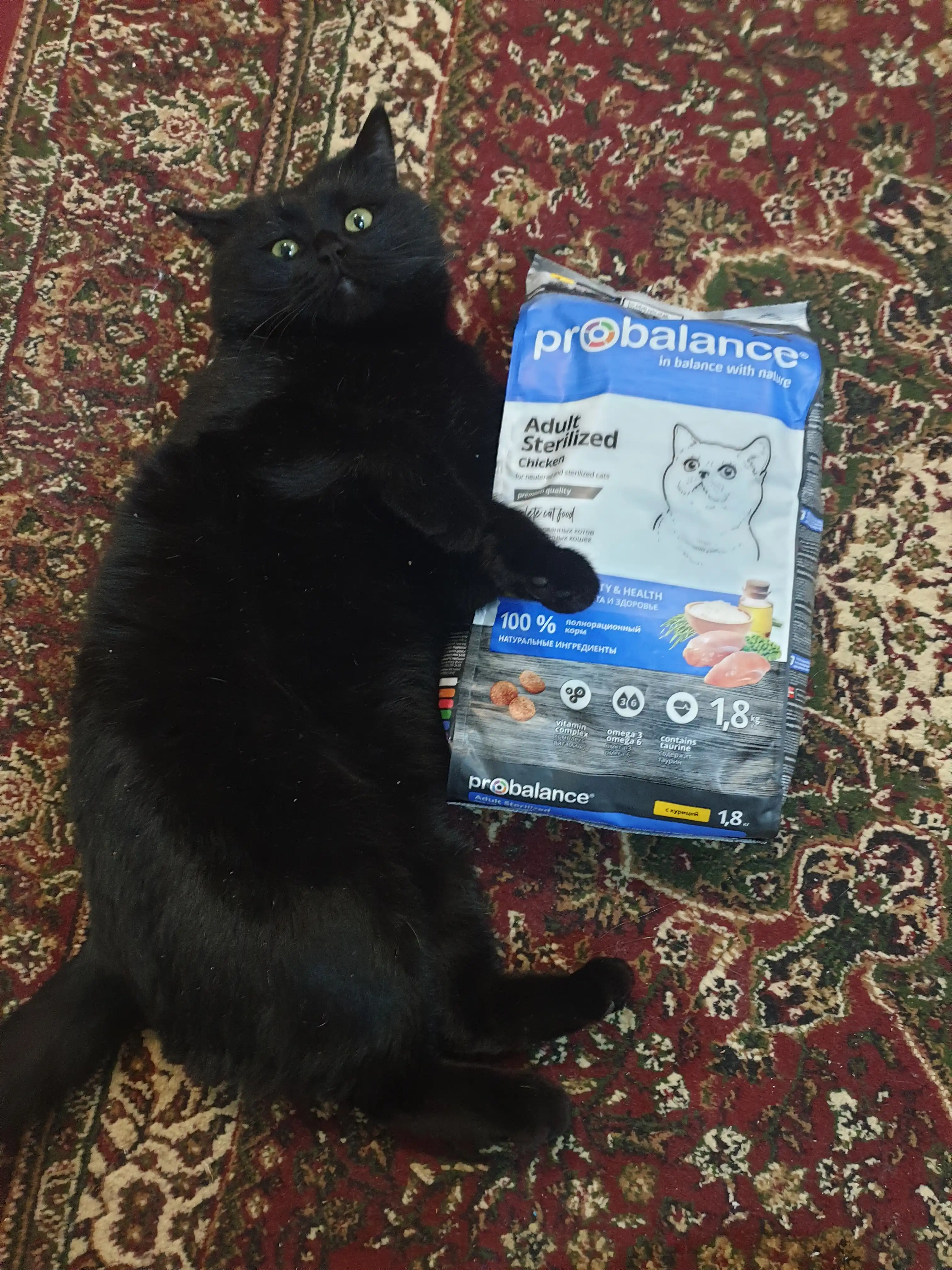 ProBalance Sterilized mushuklar uchun quruq yem, tovuqli 1.8 kg