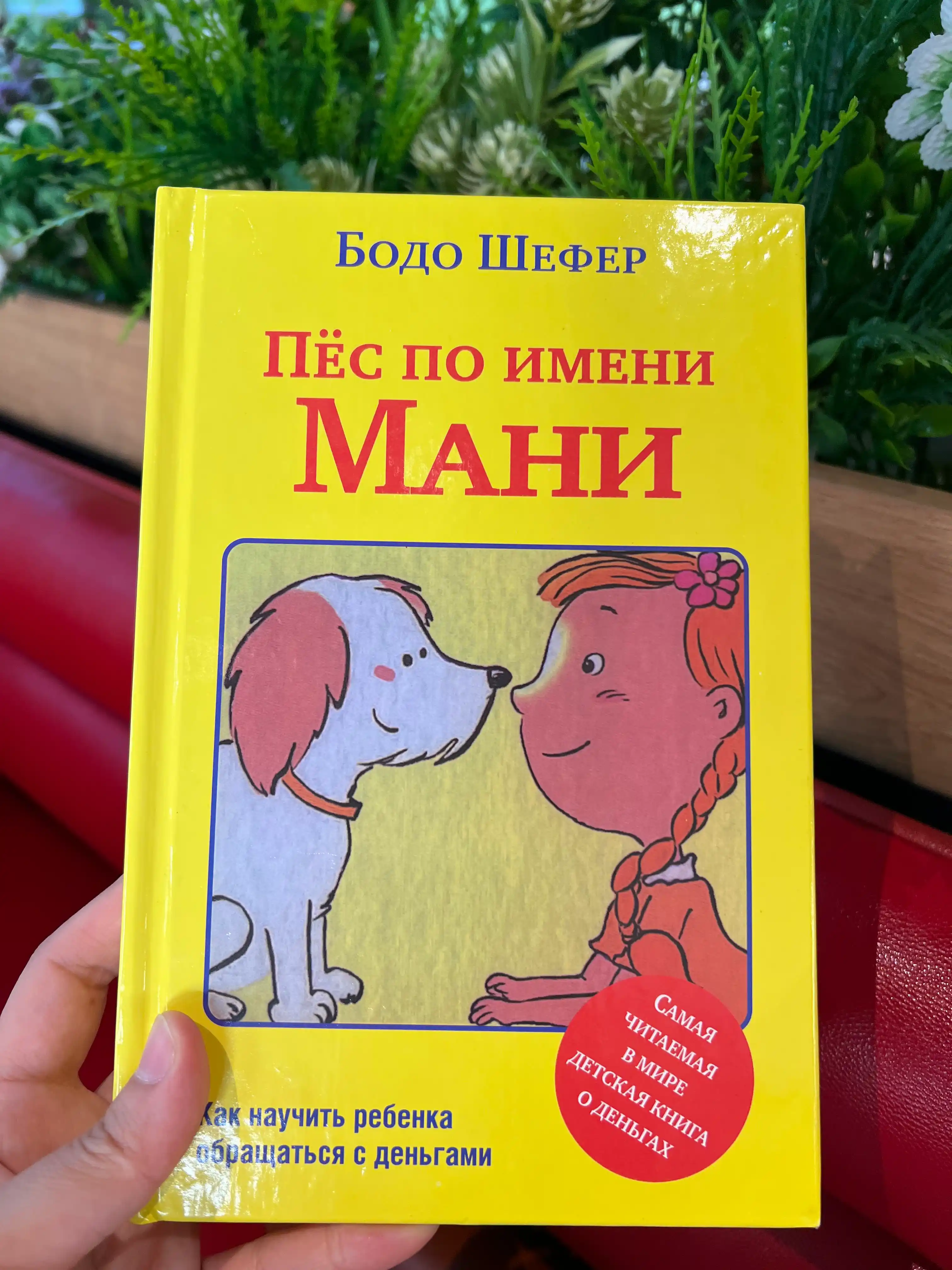 Pes po imeni Mani, Bodo Shefer