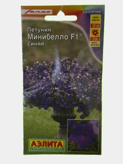 Oq