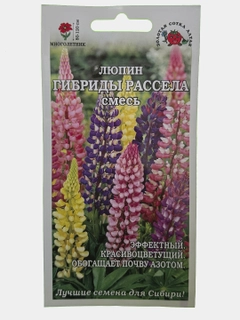 Аметистовый
