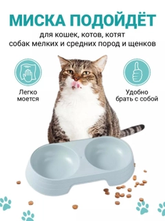 Ледяной