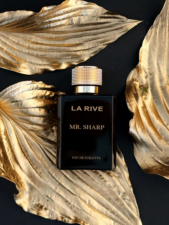 Erkaklar xushbo'ylangan suvi MR. SHARPEDT, 100 ml, La Rive
