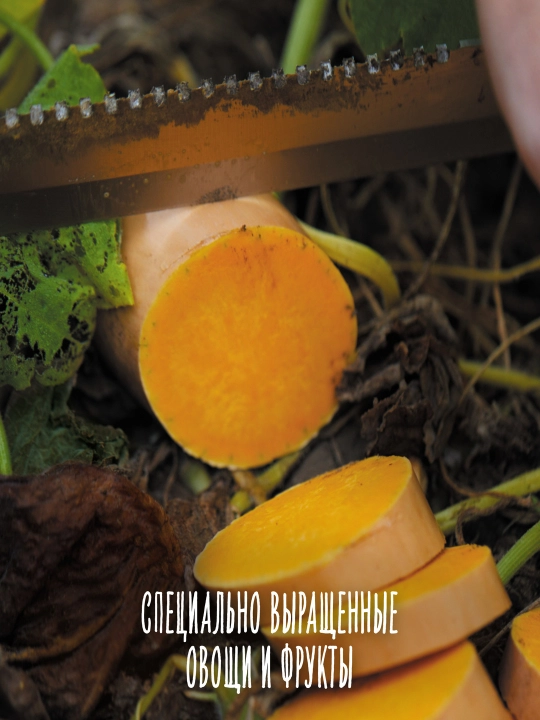 Пюре Gerber® "тыква" с 5 месяцев, 80г