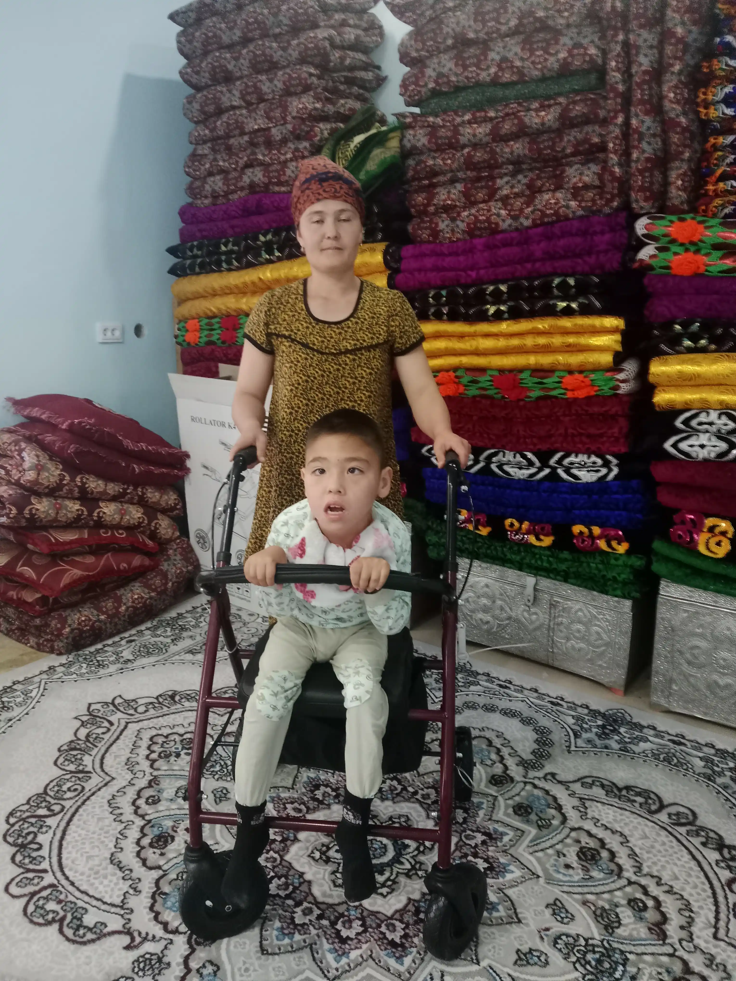 Прогулочное устройство, ходунок Rollator-R4