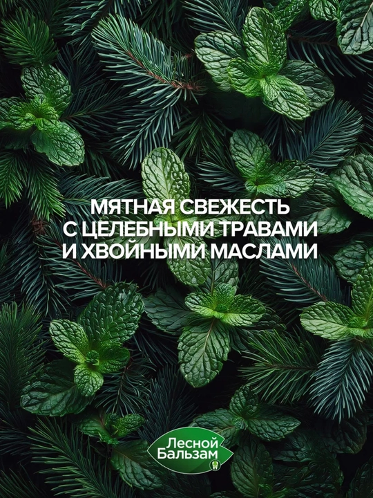 Зубная паста Лесной Бальзам, для здоровья десен, 75 мл