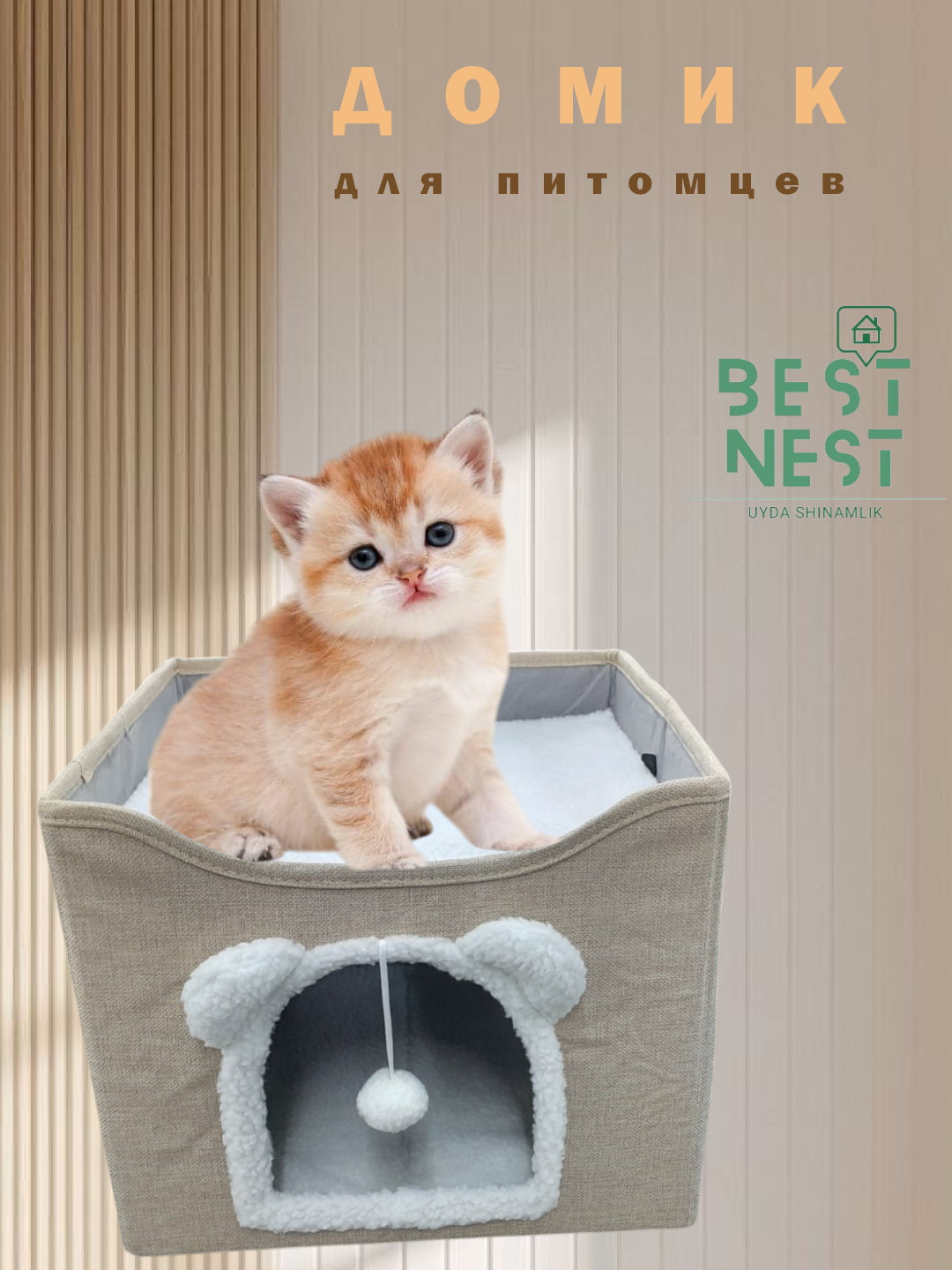 Arman anal jinsiy aloqa