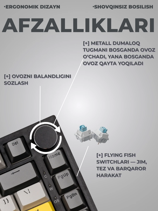 Mexanik O‘yin Klaviaturasi AJAZZ AK820, Simli USB Type-C, 75% 82 Tugmali, Hot-Swap