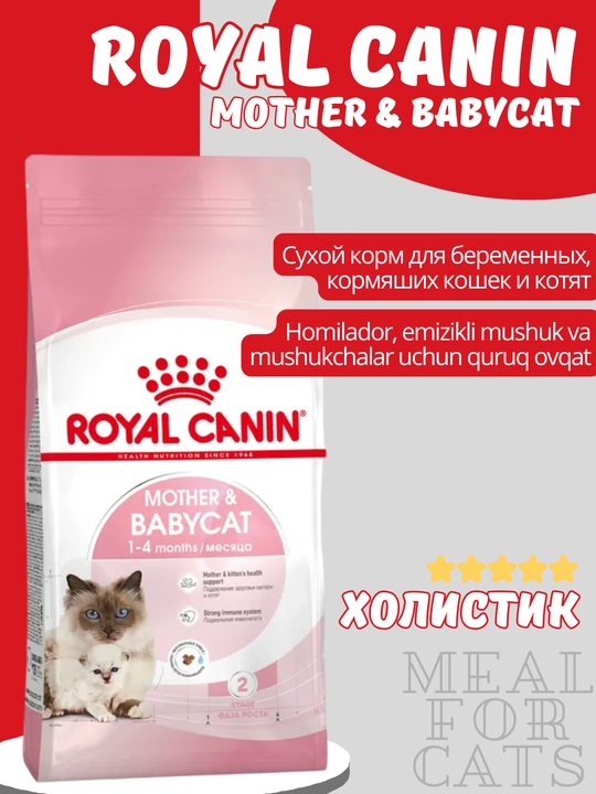 1-4 oylik mushukchalar va emizikli mushuklar uchun RoyalCanin Mother&Babycat quruq ozuqasi - 