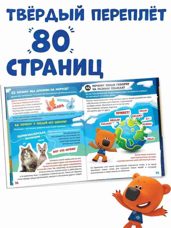 Uchlik va ular haqida hamma narsa Uchlik va ular haqida hamma narsa