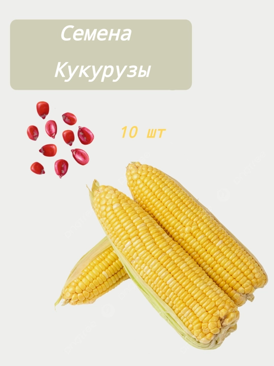 Семена кукурузы 10 шт - 