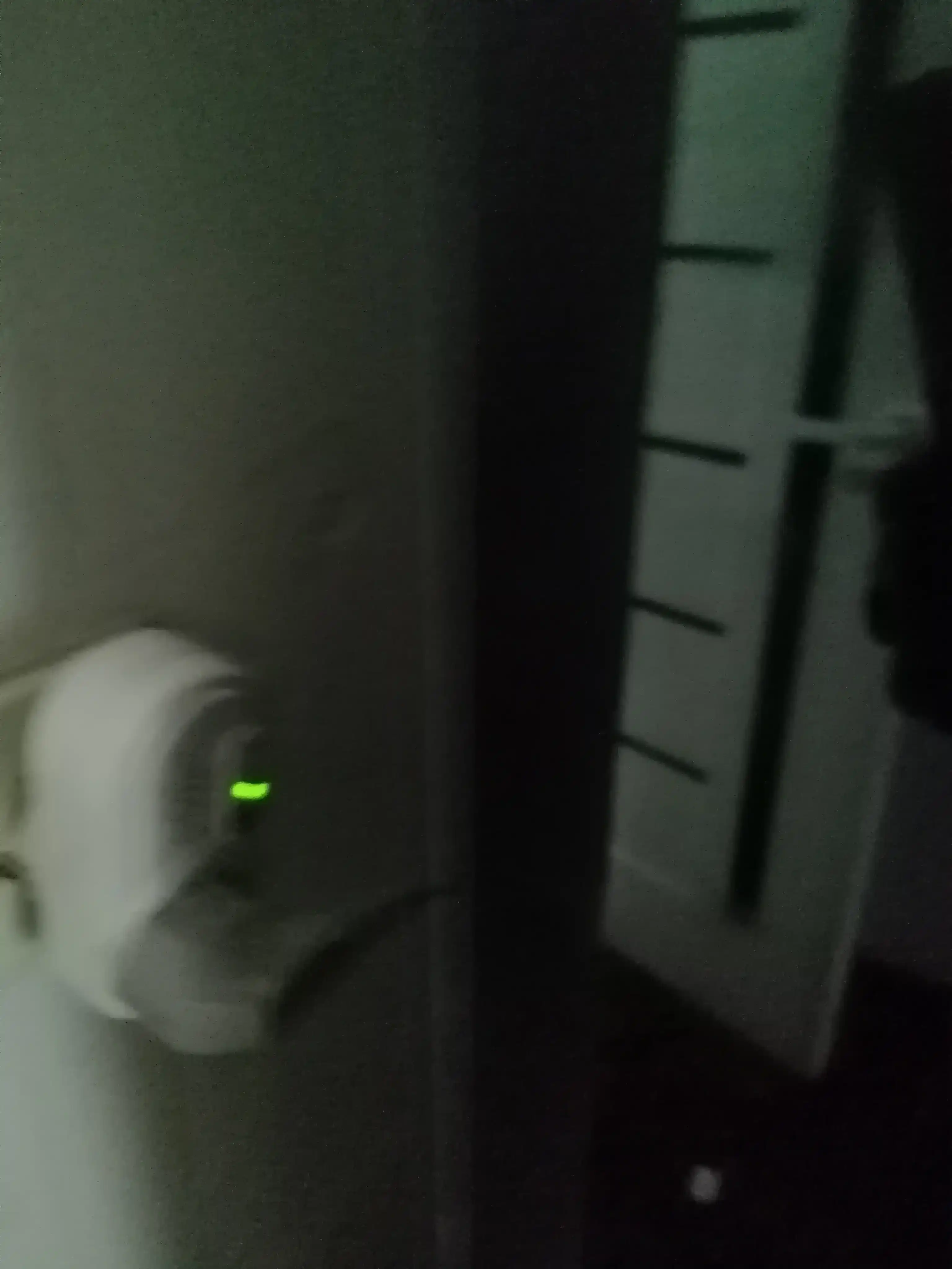 Tok Himoya qurilmasi 220V 16A 2000W kuchlanishdan rele, uy maishiy texnika uchun