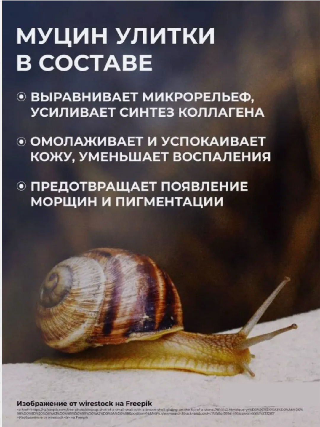 Разглаживающий BB-крем Bergamo Magic, с муцином улитки