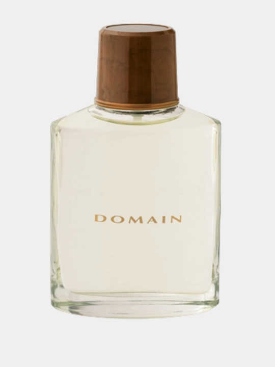 Парфюмерная вода Mary Kay Domain