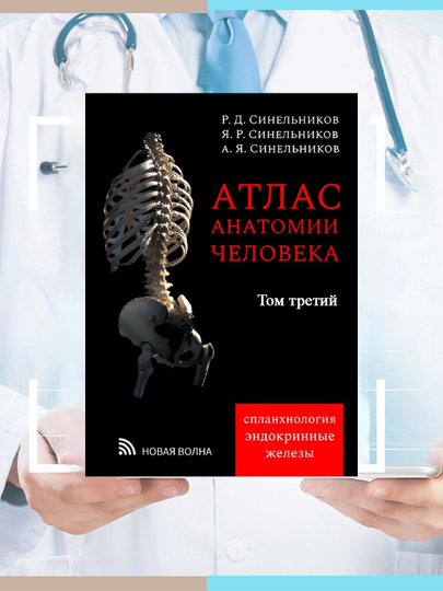 Атлас анатомии человека, том 3: учение о костях, соединениях костей и мышцах - 