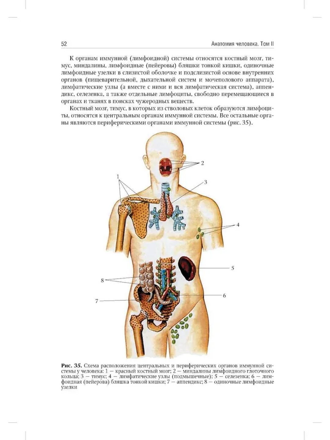 Yog slut uning eshak doggy uslubi korsatdi Daddy Daughters porno serialini tomosha qiling