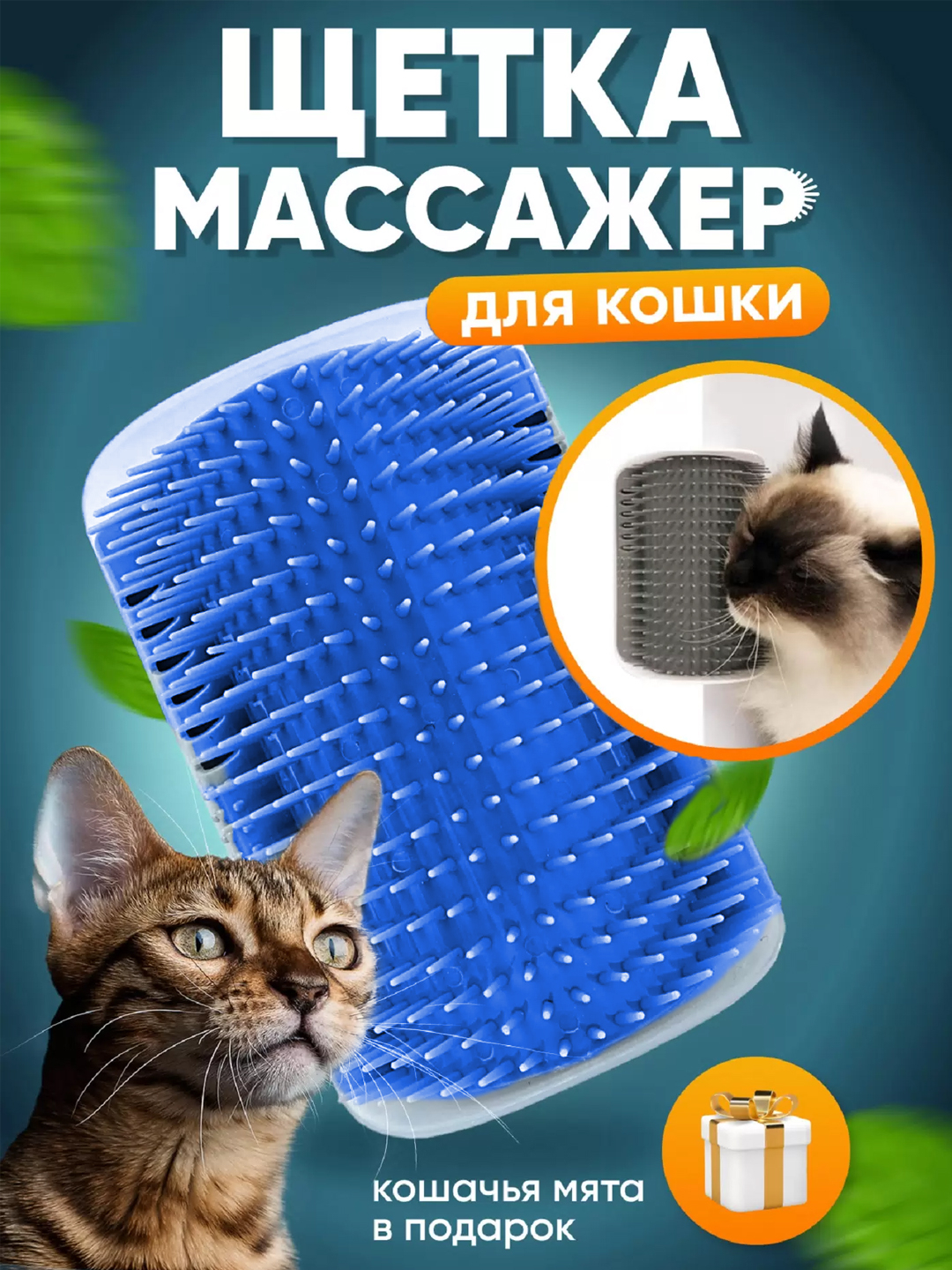 Faqat etuk yalangoch