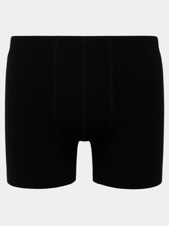 Erkaklar trusiklari, bokser trusiklar 2 dona to'plamda, paxta, Saffir, L - 4 XL