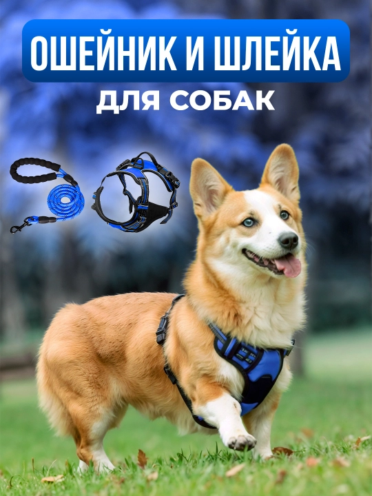 Шлейки для собак, с нейлоновым поводком, для прогулок