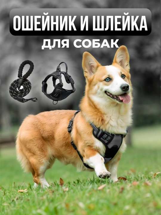 Шлейки для собак, с нейлоновым поводком, для прогулок