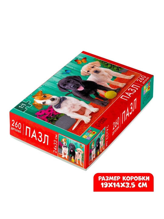 "Haqiqiy do'stlar" jumboq, 260 ta element
