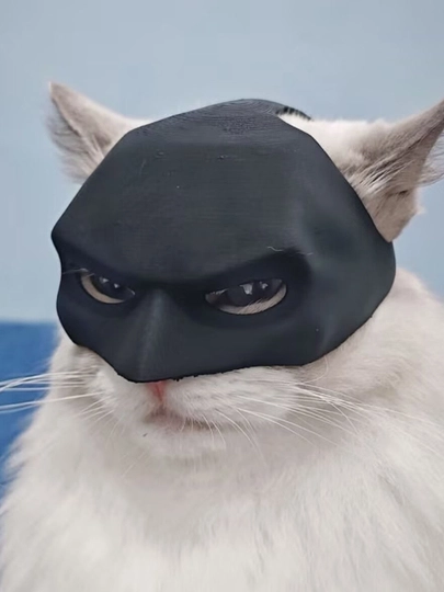 Игрушка для питомца Batman 3D Kitten Mask