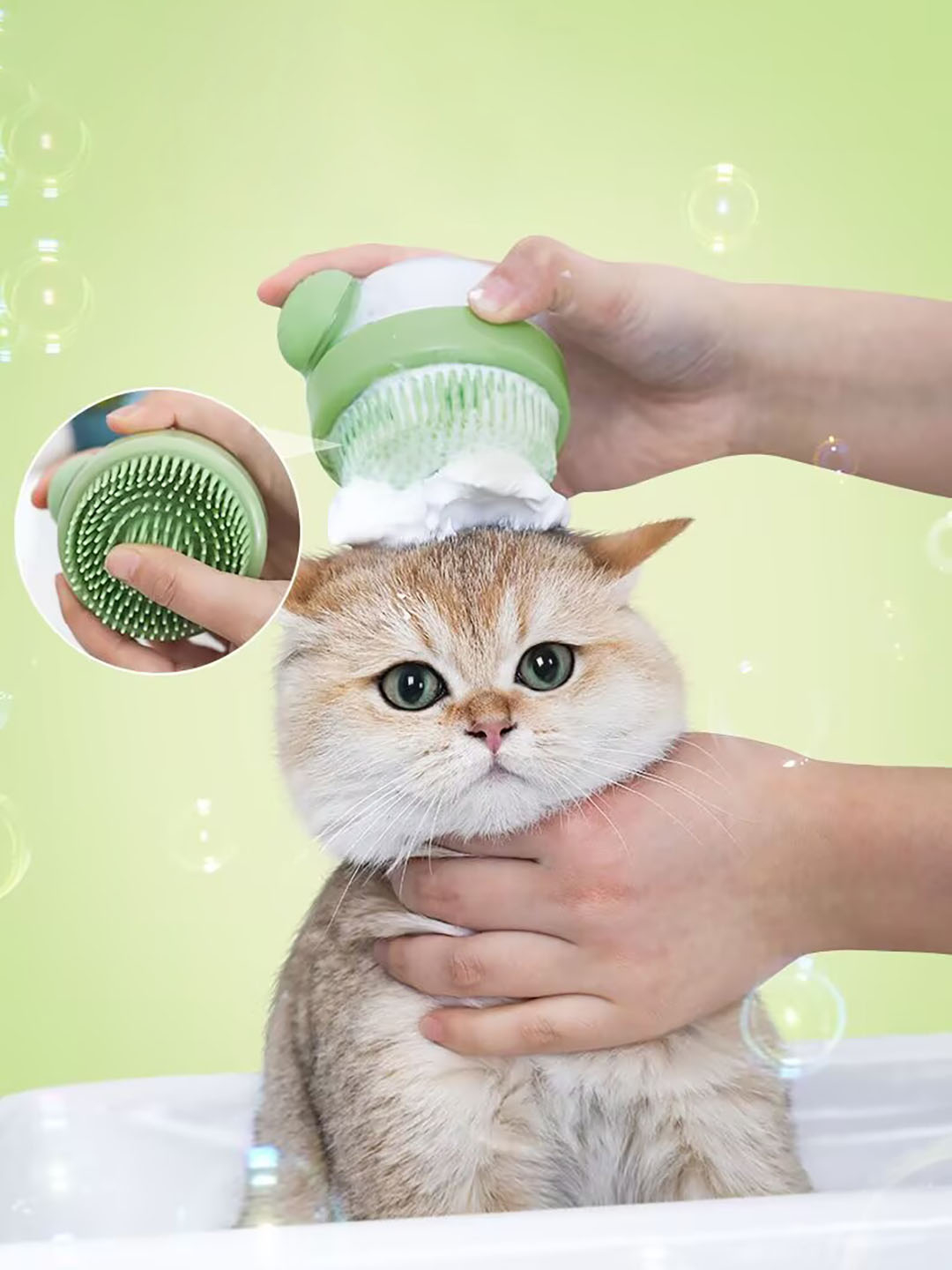 Mushuk chaqaloqning fotosurati