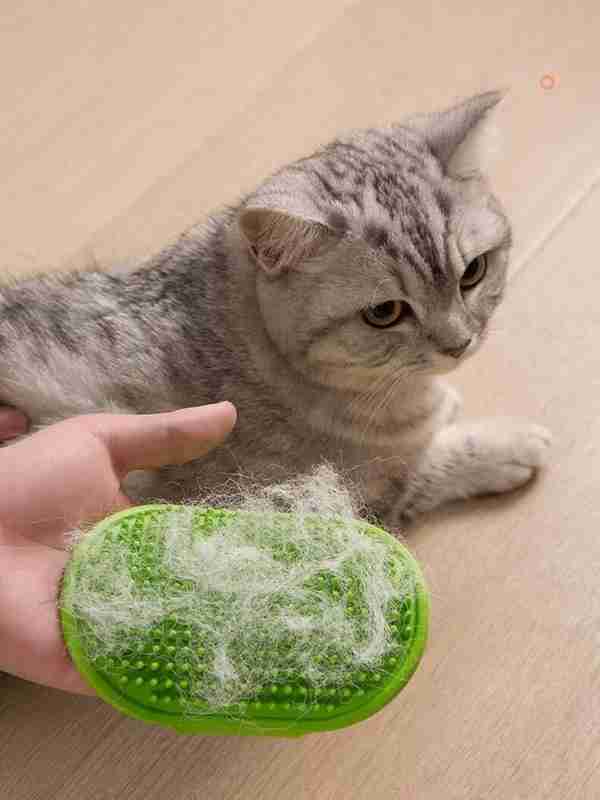 Natasha shaxsiy porno