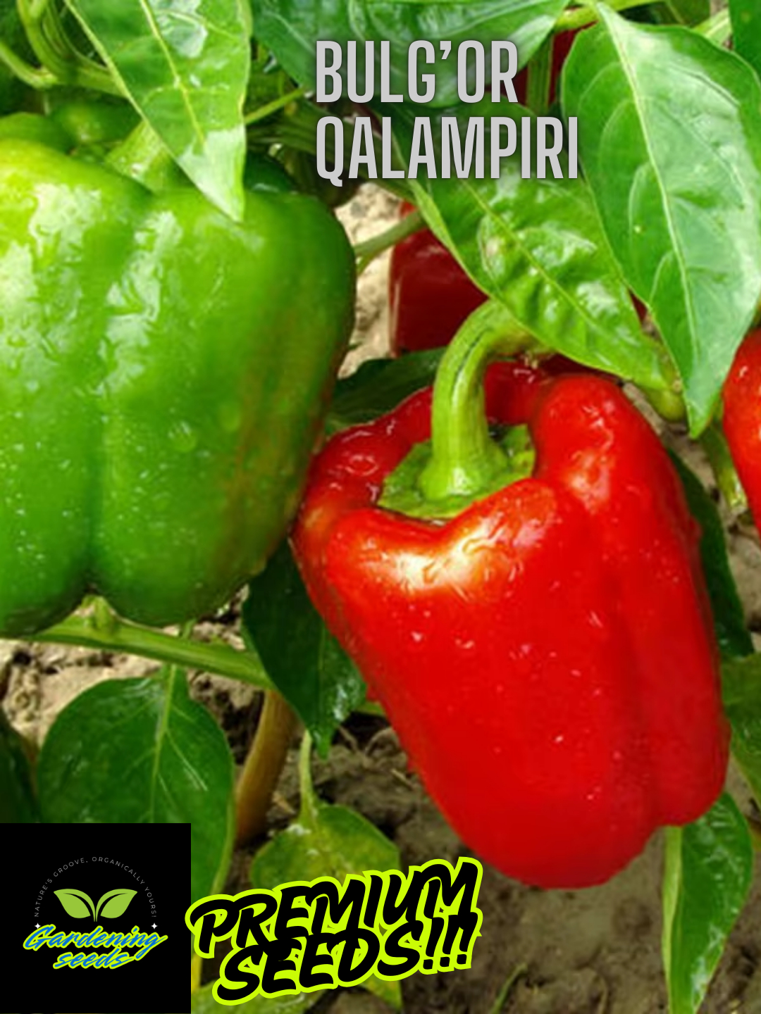 Shirin teshiklarning yaqin fotosuratlari Transseksual lanet yigitlar video