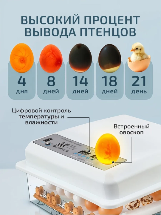 Автоматический инкубатор яиц, с автоповоротом, терморегулятор дисплей контроля температуры