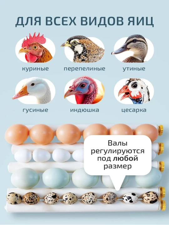 Автоматический инкубатор яиц, с автоповоротом, терморегулятор дисплей контроля температуры