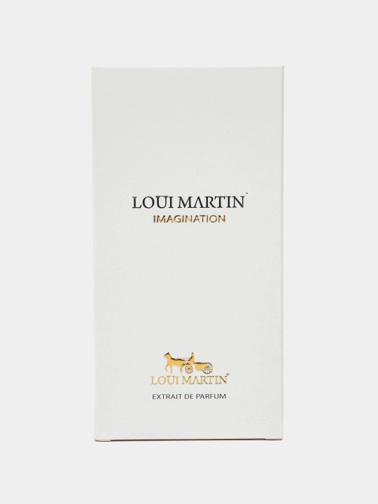 Парфюмерная вода для мужчин Loui Martin Imagination, Франция, 100 мл