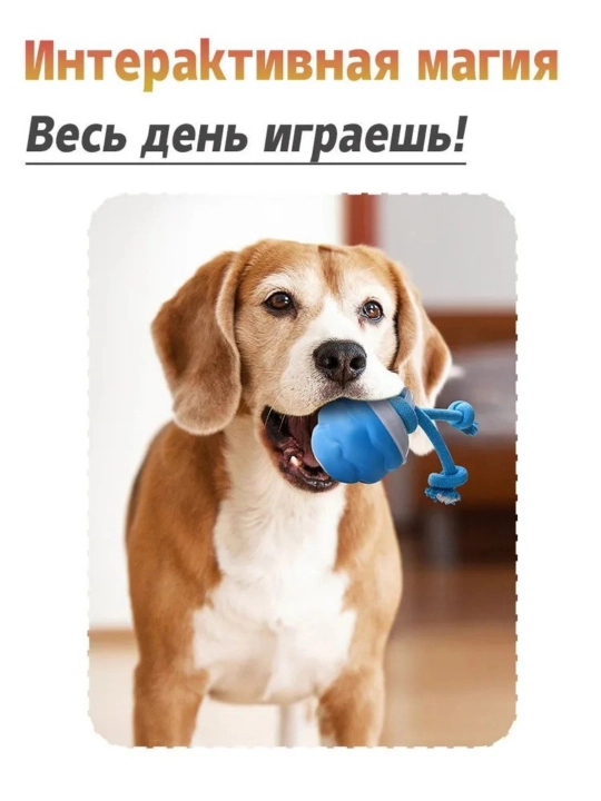 Чистка зубов для домашних животных, синий узел, палка, умная, катящаяся игрушка-мяч