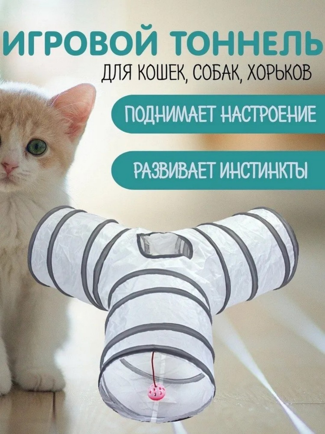 Jinsiy aloqa haqida xat meni olib