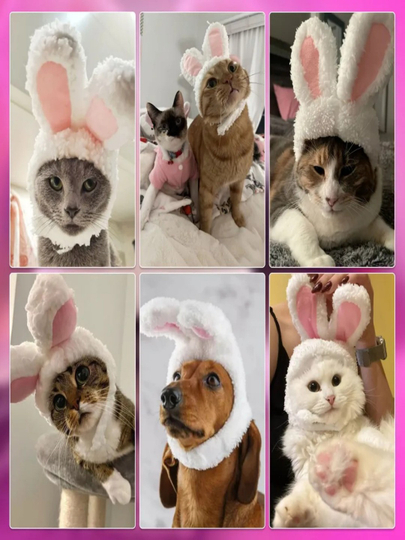 Porno yulduz Silviya Sent lezbiyan. Uxlayotgan eshak jinsiy aloqa