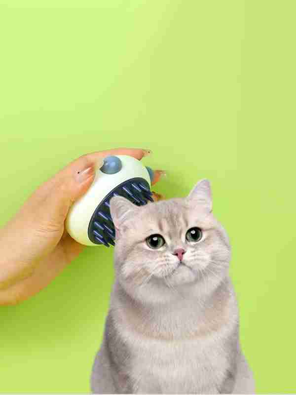 Mushuk uchun vanna sotib oling