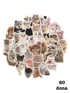 Коралловый