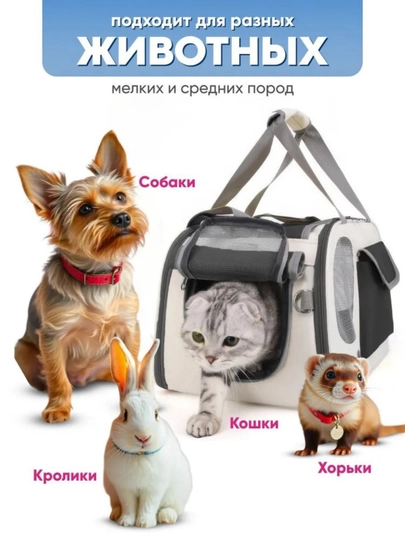 Сумка для домашних животных, сумка для путешествий, дышащая