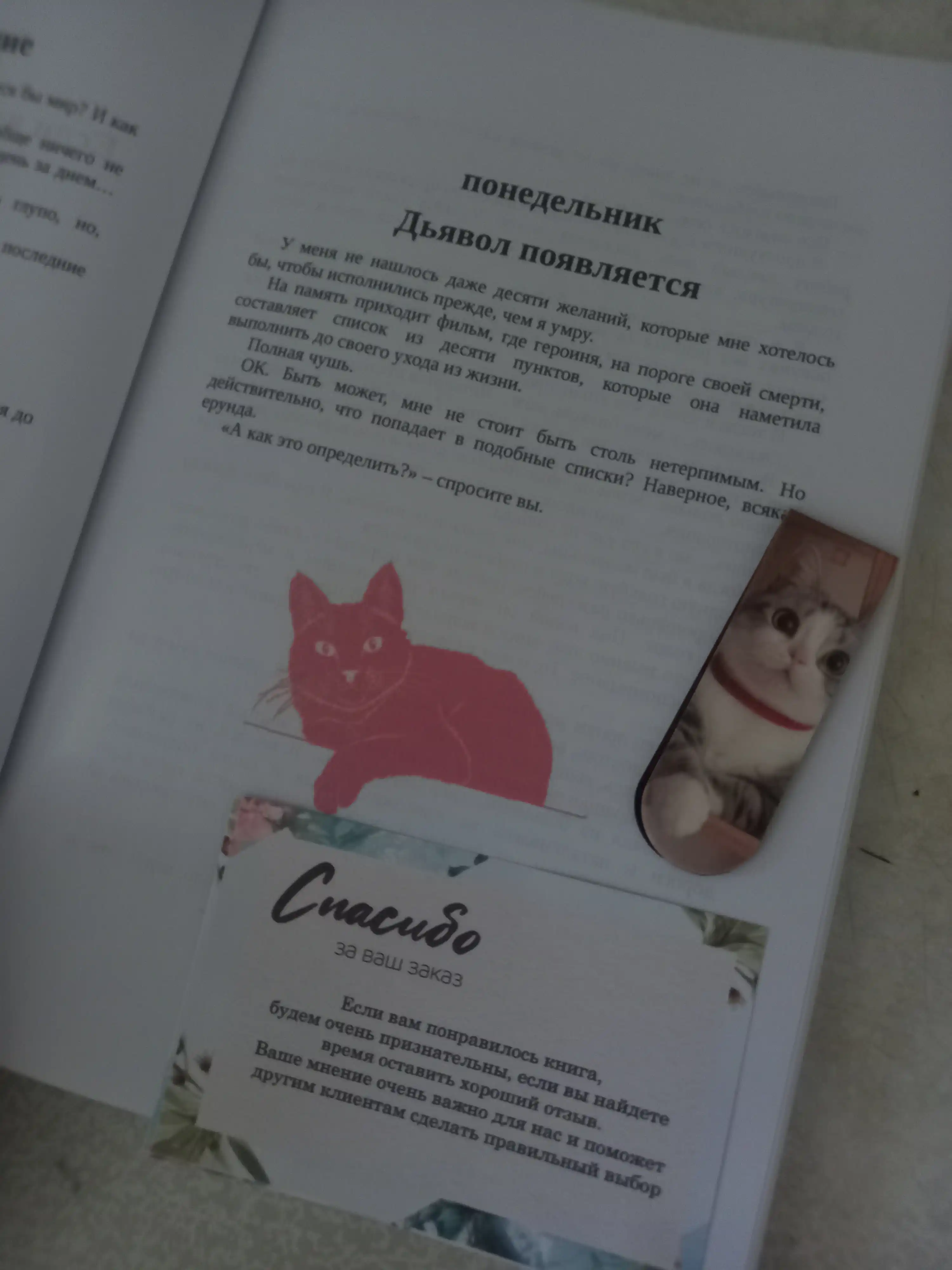 Yesli vse koshki v mire ischeznut, Kavamura Genki