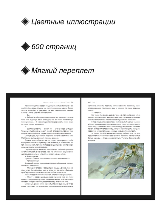 Novella, Xaski i ego uchitel Beliy kot, 7 tom