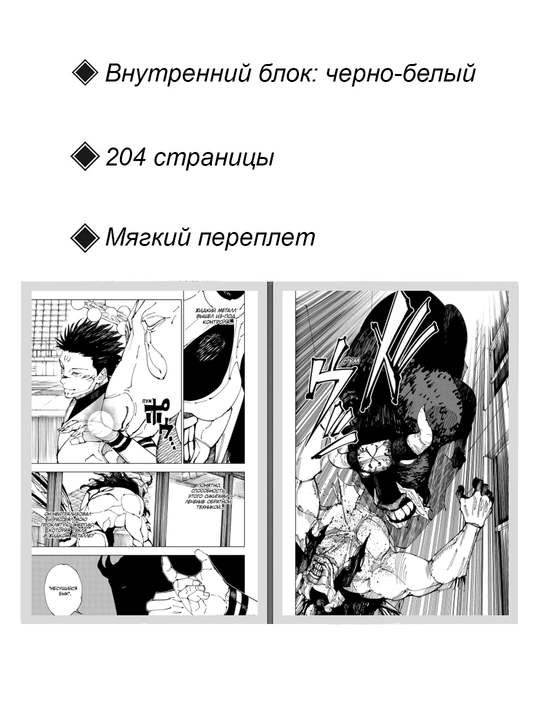 Манга, Магическая битва, Том 25