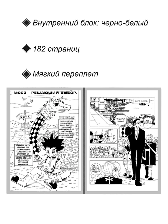 Манга, Хантер х Хантер, 1 том