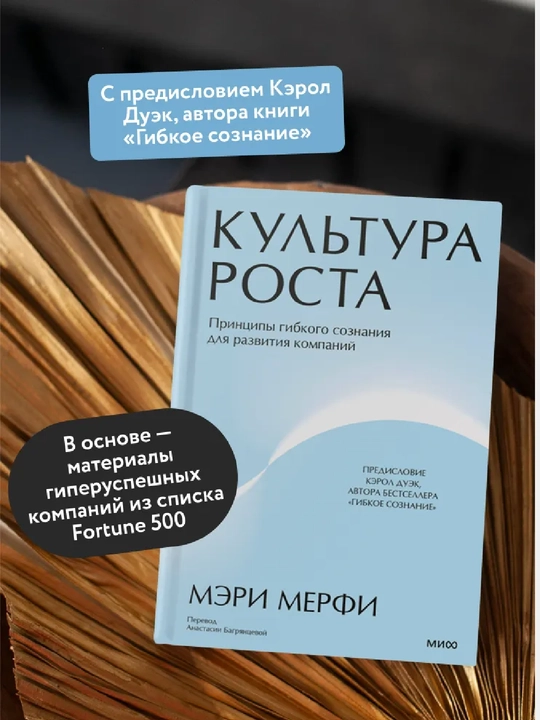 Культура роста, Принципы гибкого сознания для развития компаний